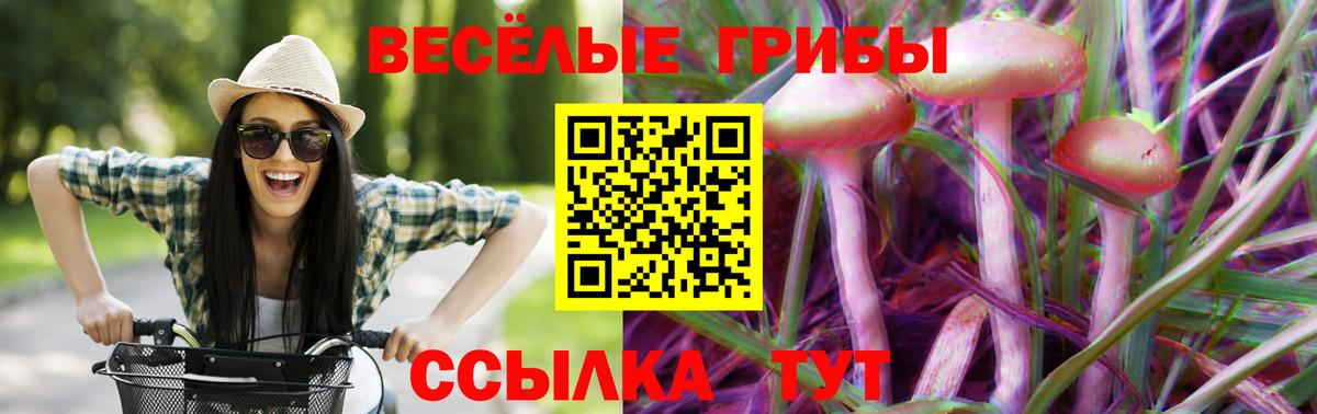 Галлюциногенные грибы прущие грибы Ревда
